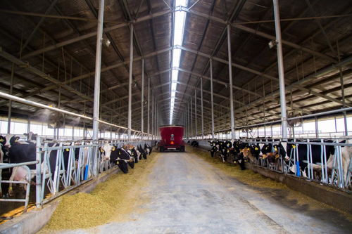 从一条短信看蒙牛质量文化 质量正直深植产业链各环节的泰高牧业实践