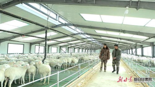 喜讯 | 山丹县成功入选全国草原畜牧业转型升级项目县，泰高牧业迎来发展新机遇