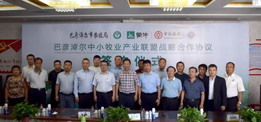 携手共赢，筑牢产业链——巴彦淖尔中小牧业产业联盟签约成立，泰高牧业助力奶农安心发展