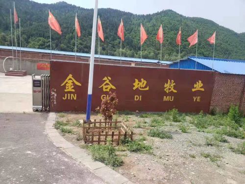 乡间小鹿与金谷地牧业联合泰高牧业，共筑中国梅花鹿产业联盟新篇章